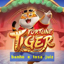 banho e tosa juiz de fora